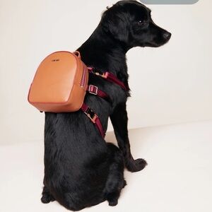 Caraa Stylish Tan Dog Backpack